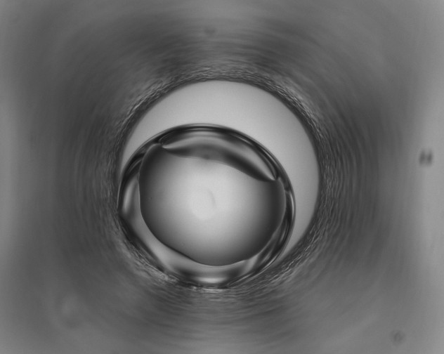 X0000095550546200712141557