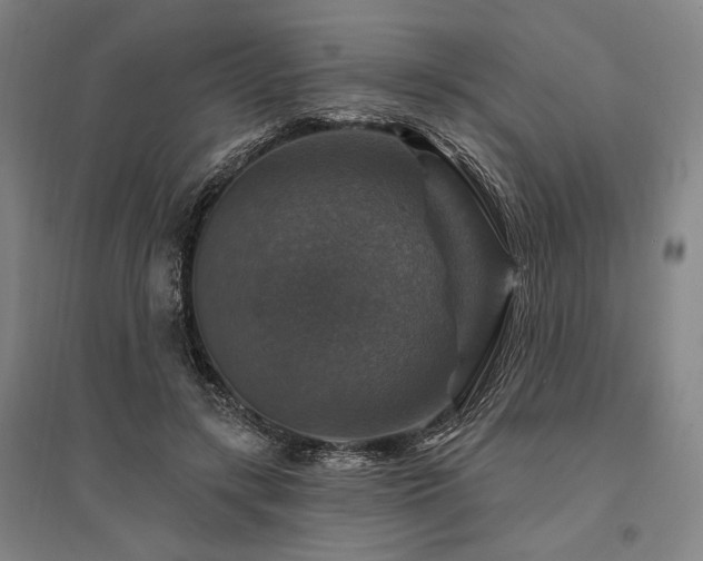 X0000095550547200712141557