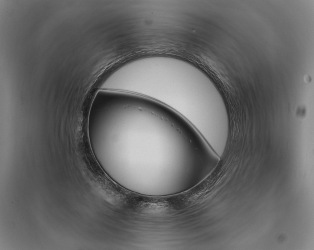 X0000095550548200712141557