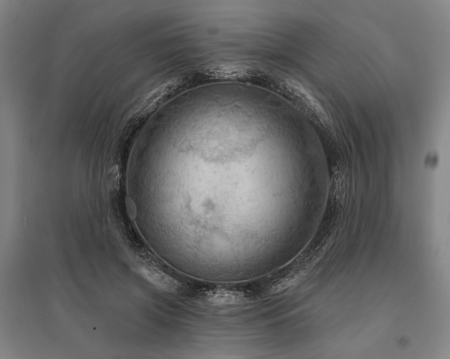 X0000095550549200712141557