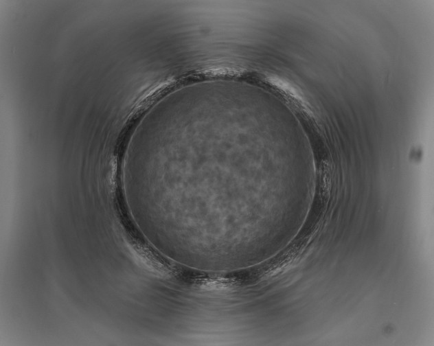 X0000095550550200712141557