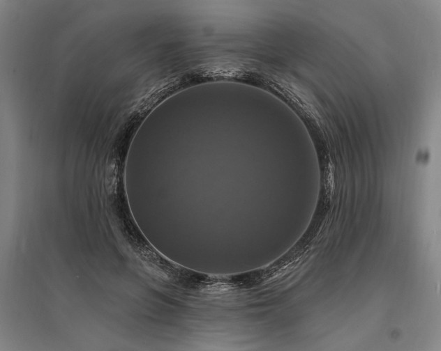 X0000095550551200712141557