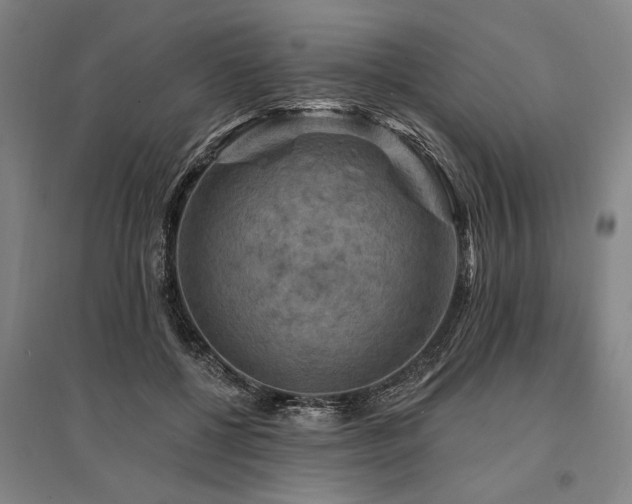 X0000095550552200712141557