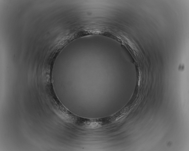 X0000095550553200712141557