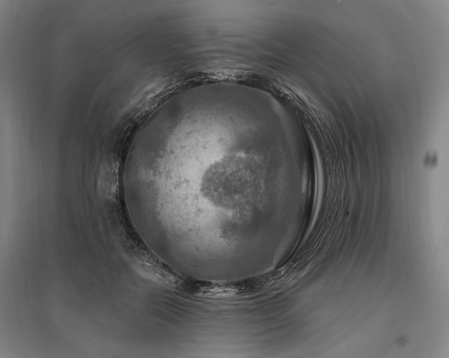 X0000095550554200712141557