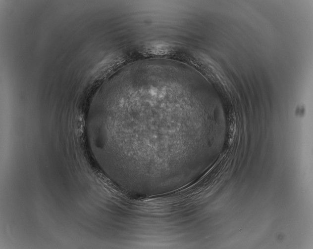 X0000095550555200712141558