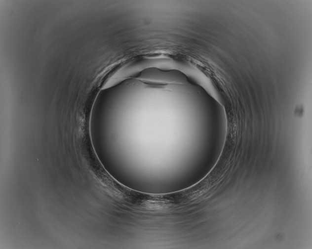 X0000095550556200712141558