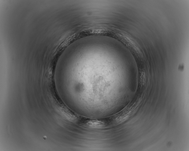 X0000095550557200712141558