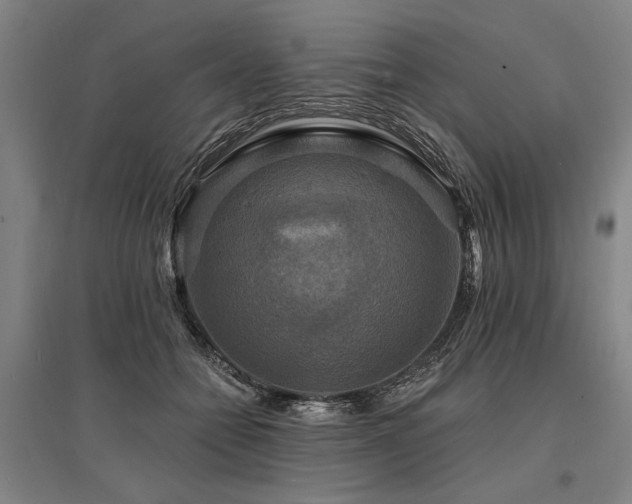 X0000095550558200712141558