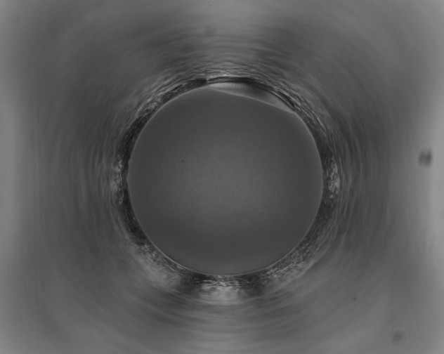 X0000095550559200712141558