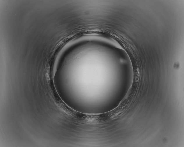 X0000095550560200712141558