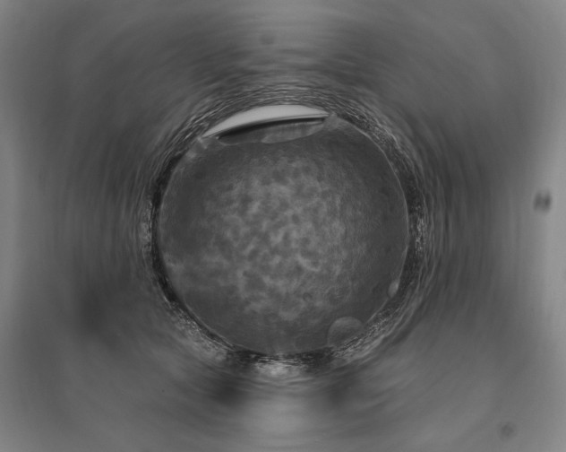 X0000095550561200712141558