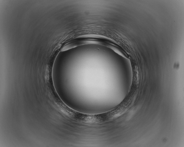 X0000095550562200712141558