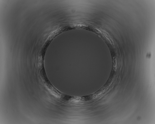 X0000095550563200712141558