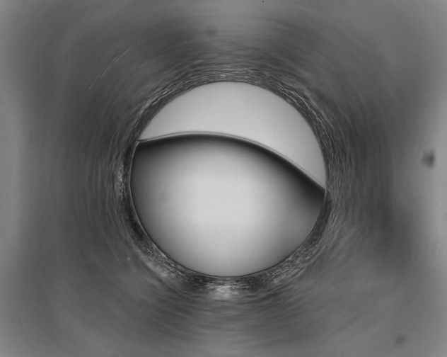 X0000095550564200712141558