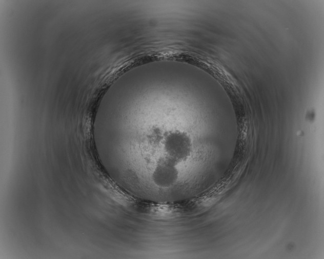 X0000095550565200712141558