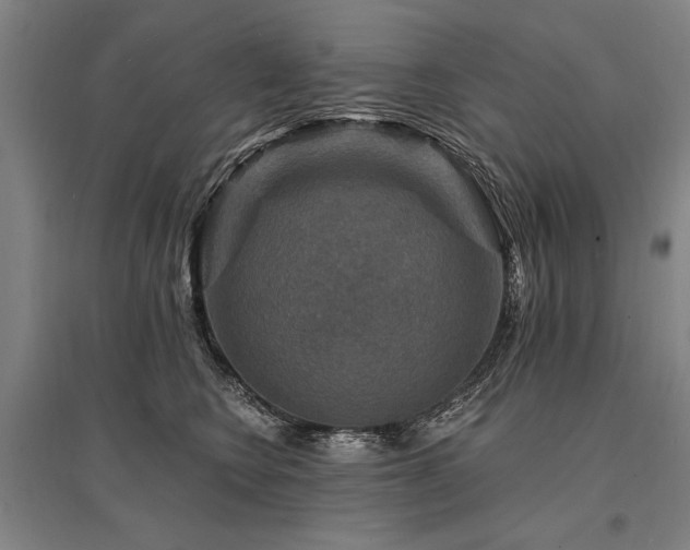 X0000095550566200712141558