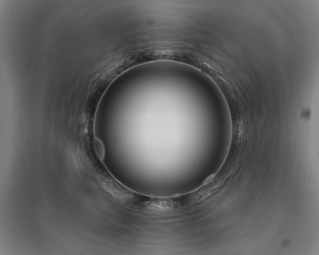 X0000095550567200712141558