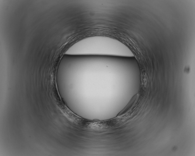 X0000095550568200712141558