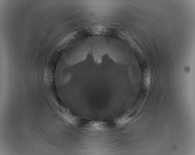 X0000095550569200712141558