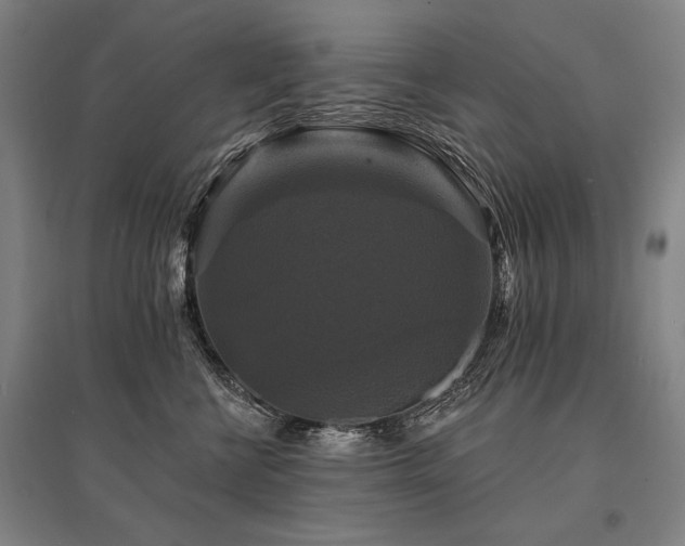 X0000095550570200712141558