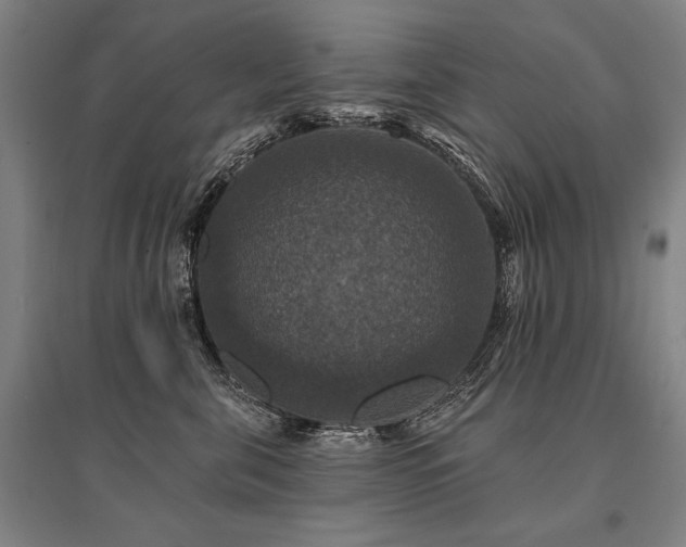 X0000095550571200712141558