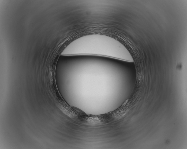 X0000095550572200712141558