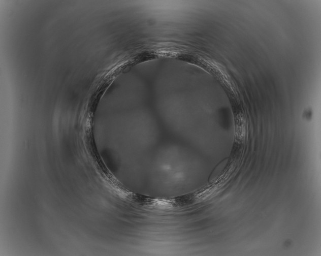 X0000095550573200712141558