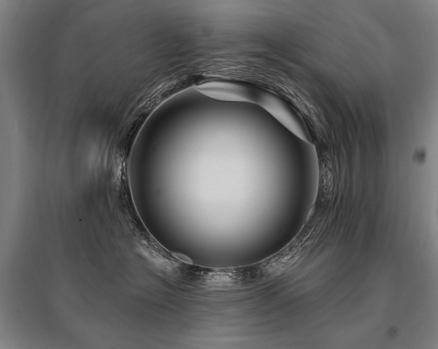 X0000095550574200712141558