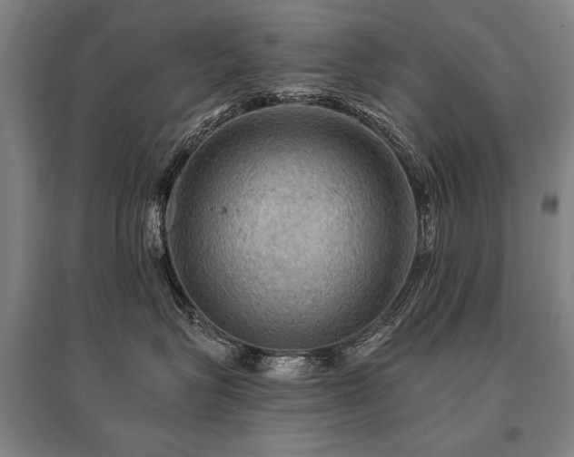 X0000095550575200712141558