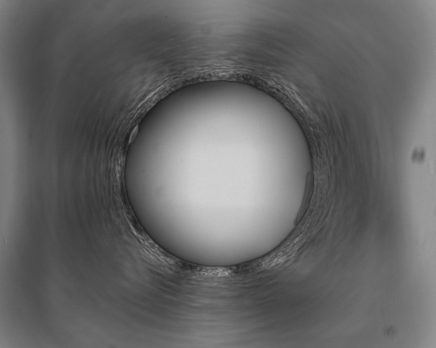 X0000095550576200712141558