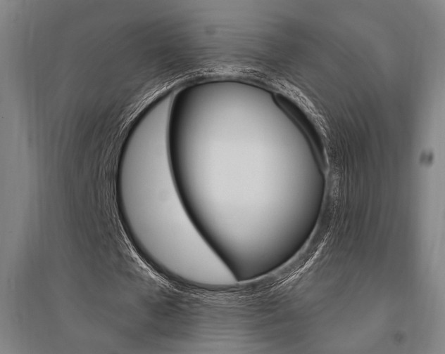 X0000095550577200712141557