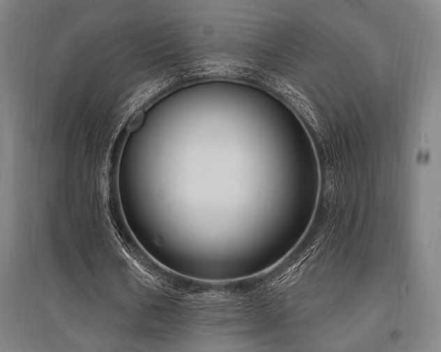 X0000095550578200712141557