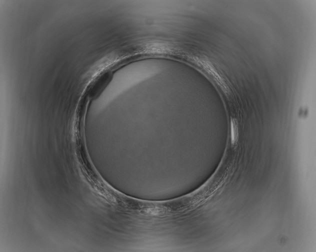 X0000095550579200712141557