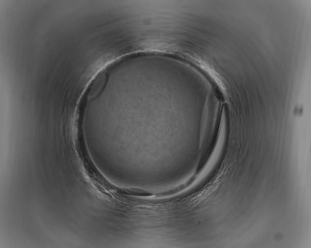 X0000095550580200712141557