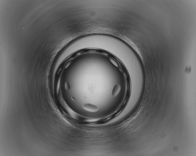 X0000095550581200712141557