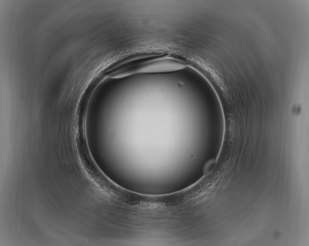 X0000095550582200712141557