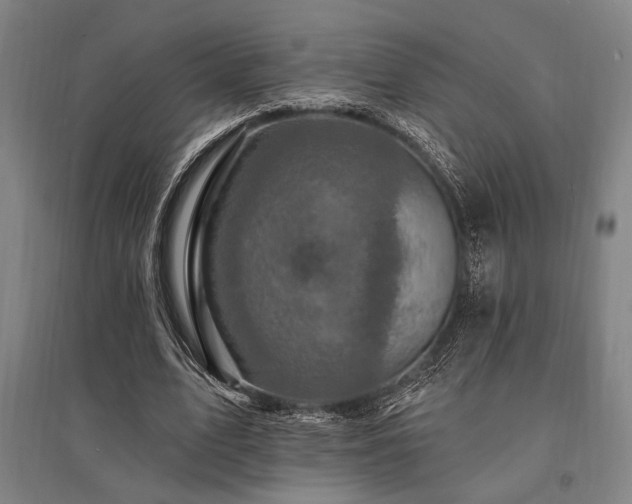 X0000095550583200712141557