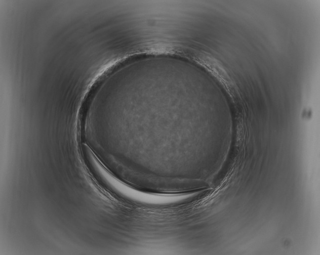 X0000095550584200712141557