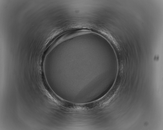 X0000095550585200712141557