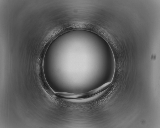 X0000095550586200712141557