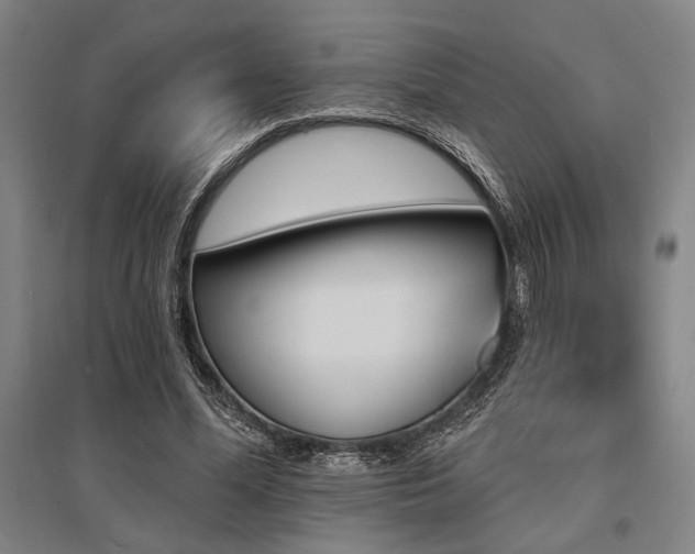 X0000095550588200712141557