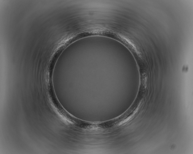 X0000095550589200712141557