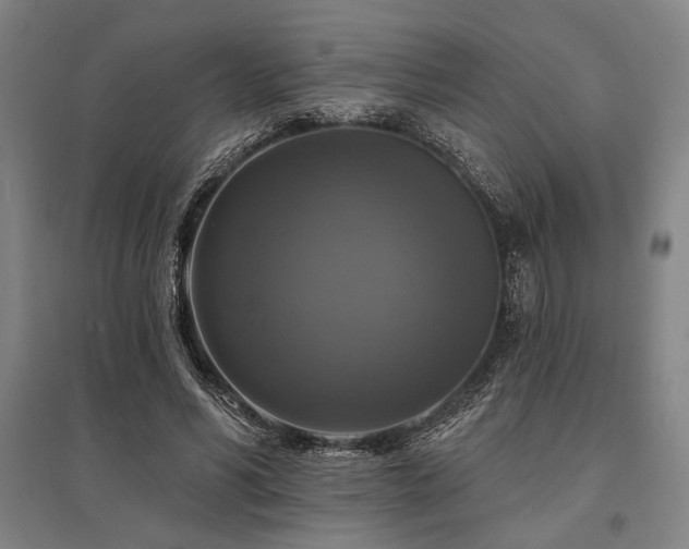 X0000095550590200712141557