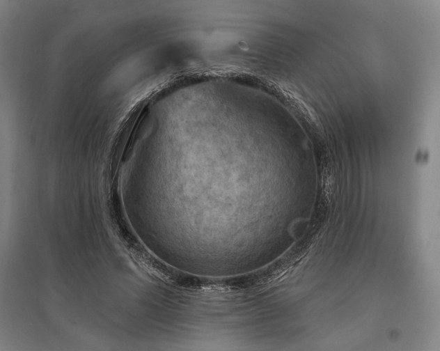 X0000095550591200712141557