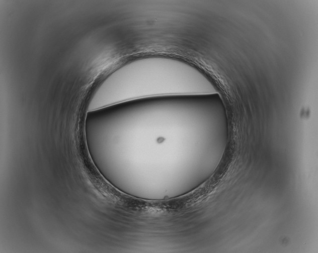 X0000095550592200712141557