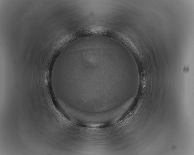 X0000095550593200712141557