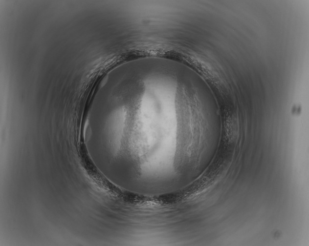 X0000095550594200712141557