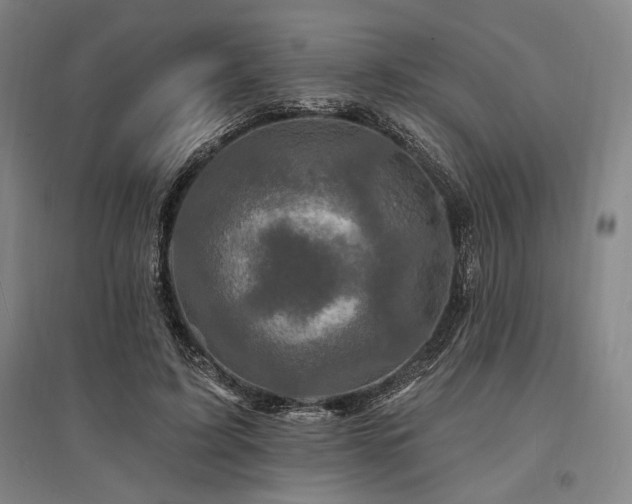 X0000095550595200712141557