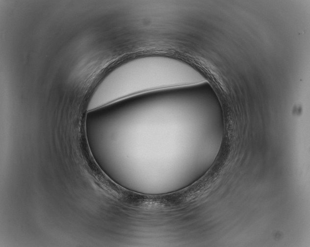 X0000095550596200712141557